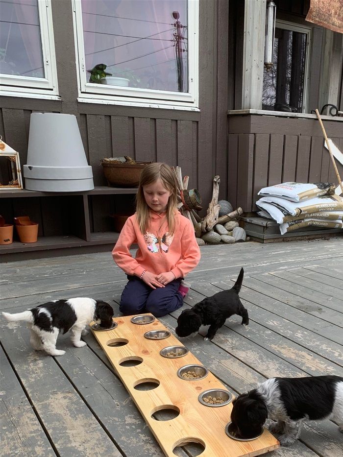 Runa serverer middag